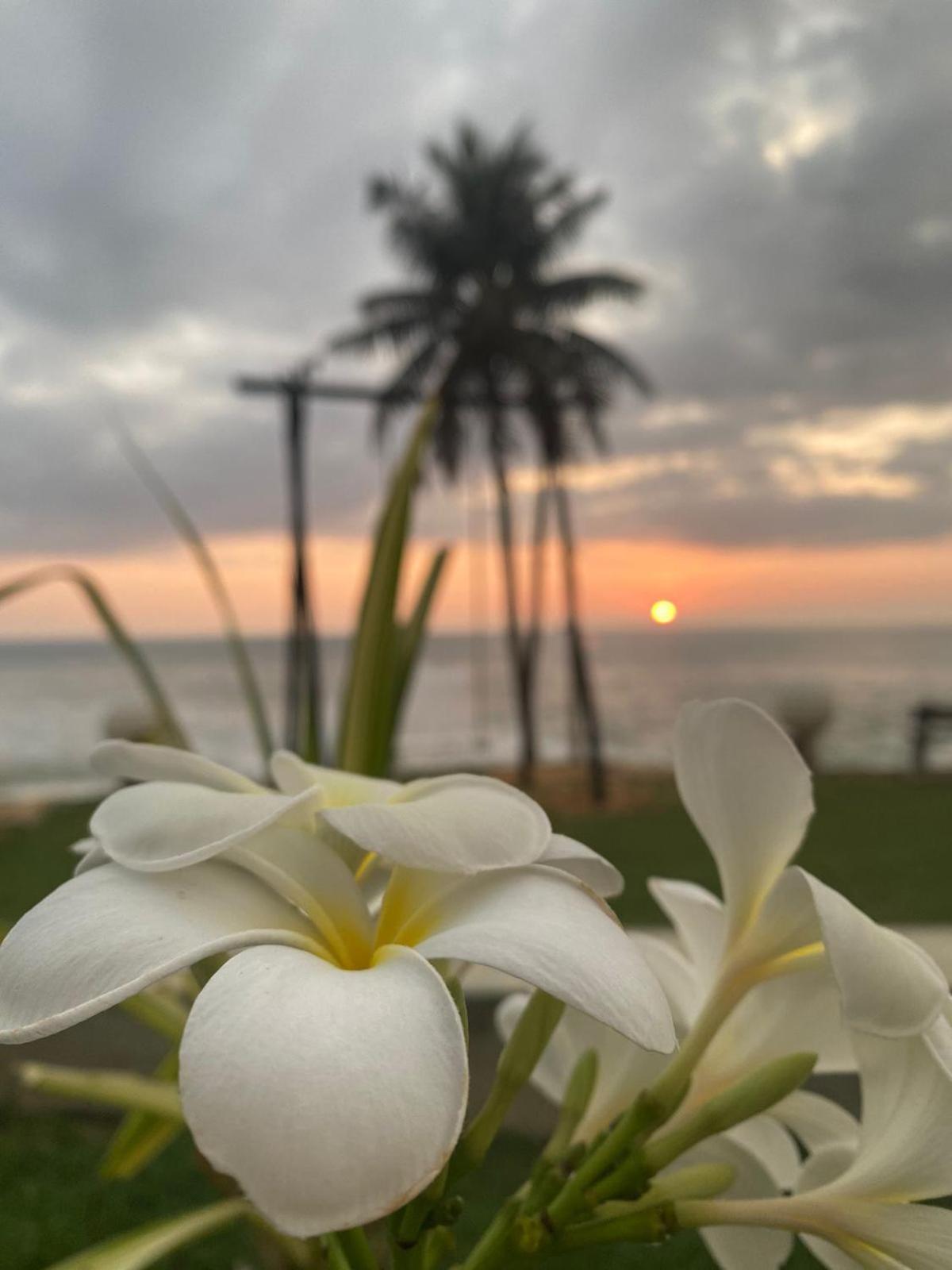 New Ocean Hill Hotel Хиккадува Экстерьер фото